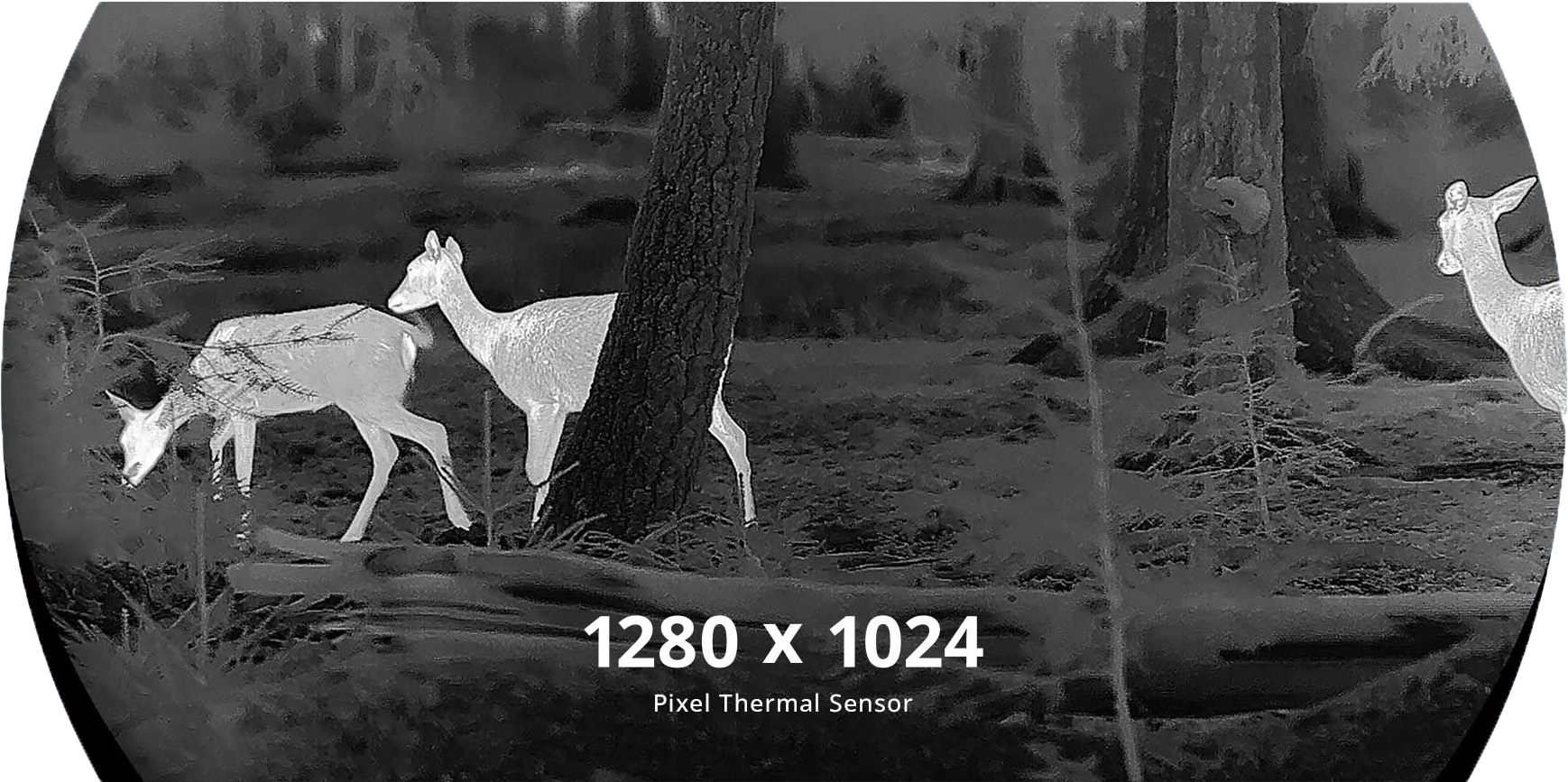 1280 Sensor