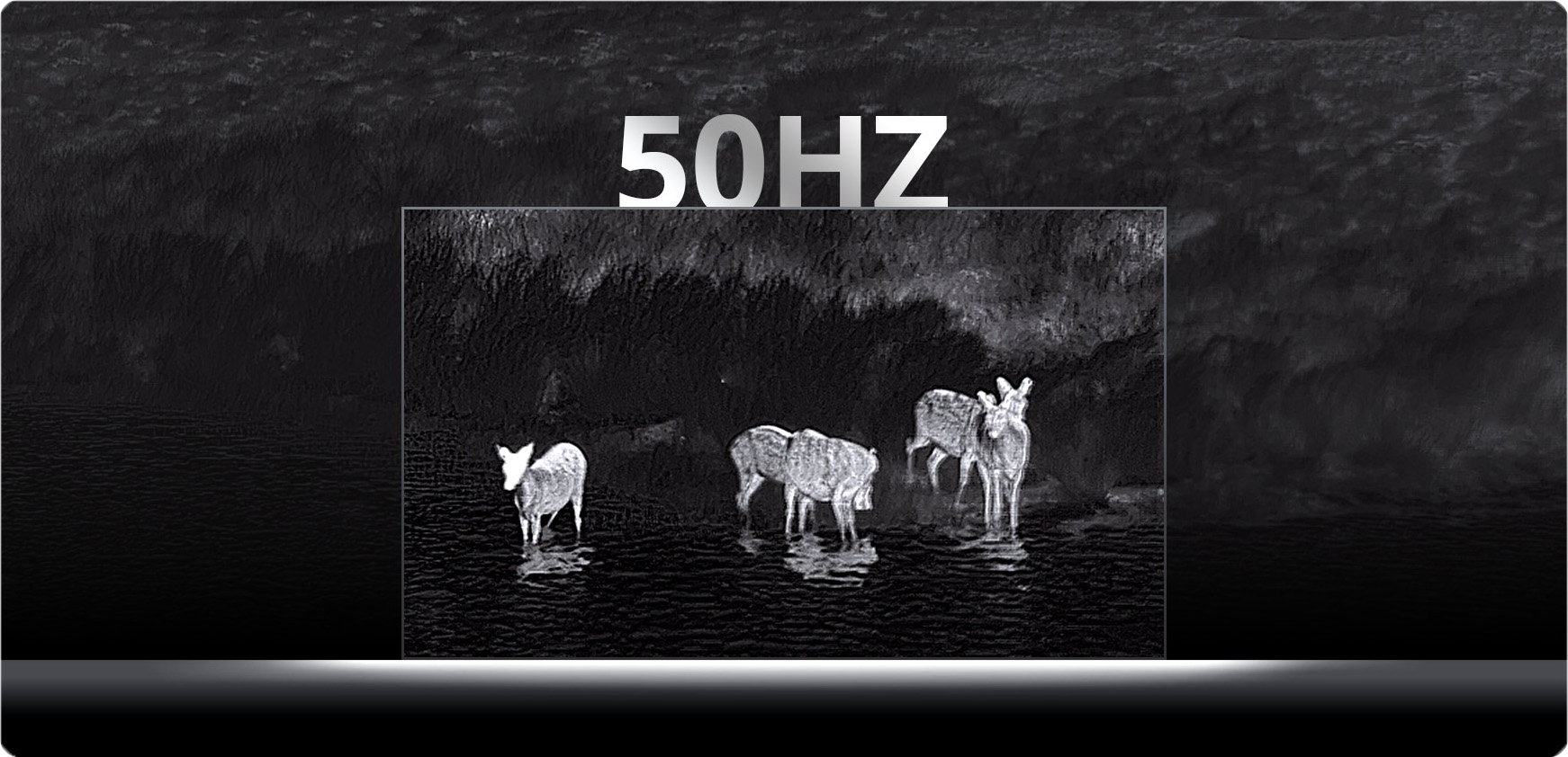 50hz