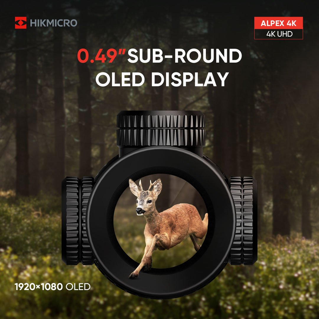 Alpex Sub Round Display