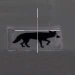 Thermbright Fox/Coyote Passive Thermal Imaging Target