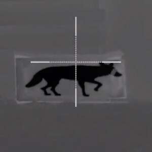 Thermbright Fox/Coyote Passive Thermal Imaging Target