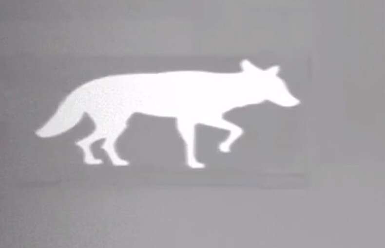 Thermbright Fox/Coyote Passive Thermal Imaging Target