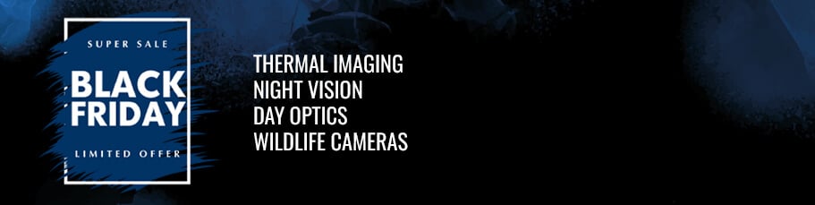 Black Friday promotion