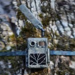Zeiss Secacam 7 Cellular Wildlife Camera
