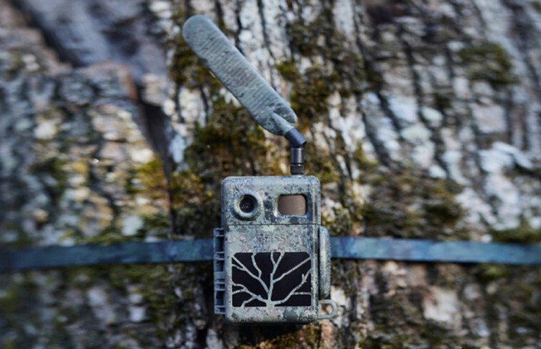 Zeiss Secacam 7 Cellular Wildlife Camera