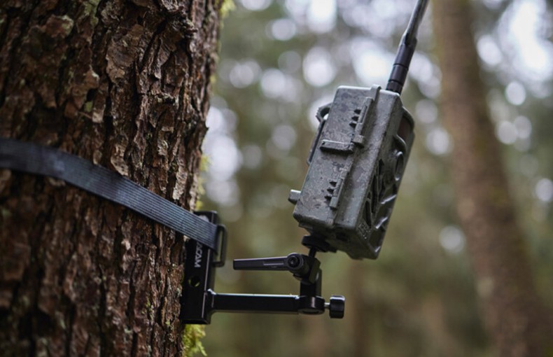 Zeiss Secacam 5 Cellular Wildlife Camera
