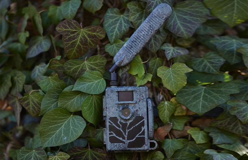 Zeiss Secacam 5 Cellular Wildlife Camera