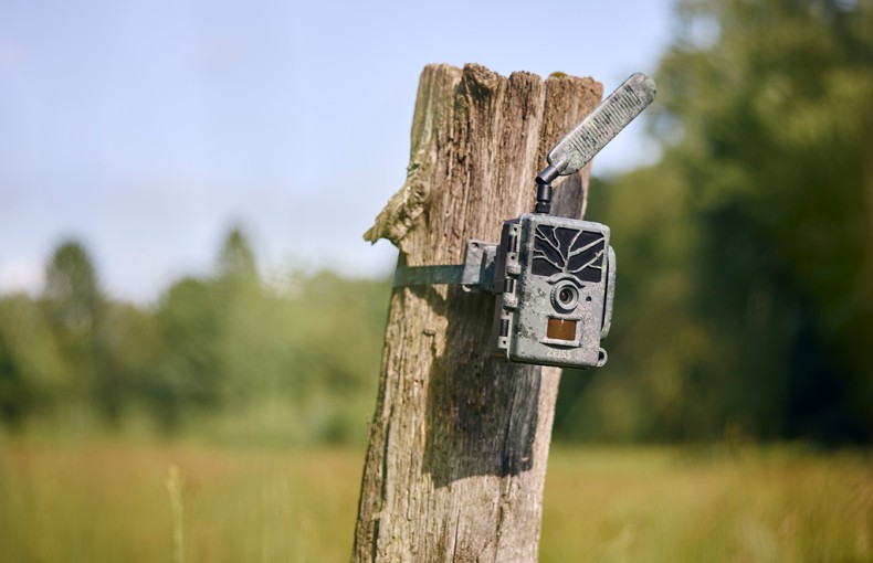 Zeiss Secacam 1 Cellular Wildlife Camera